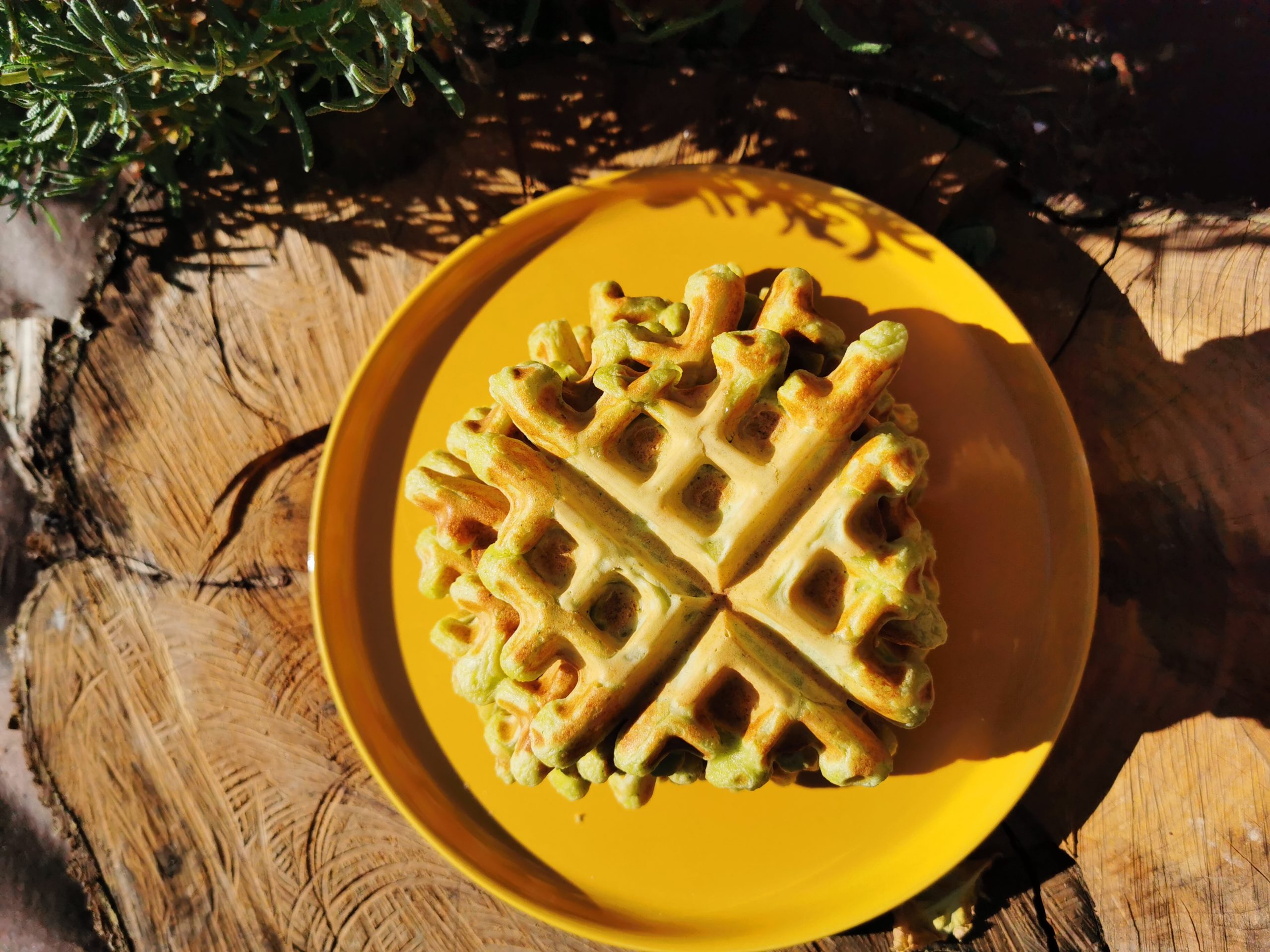 GAUFRE COURGETTE
