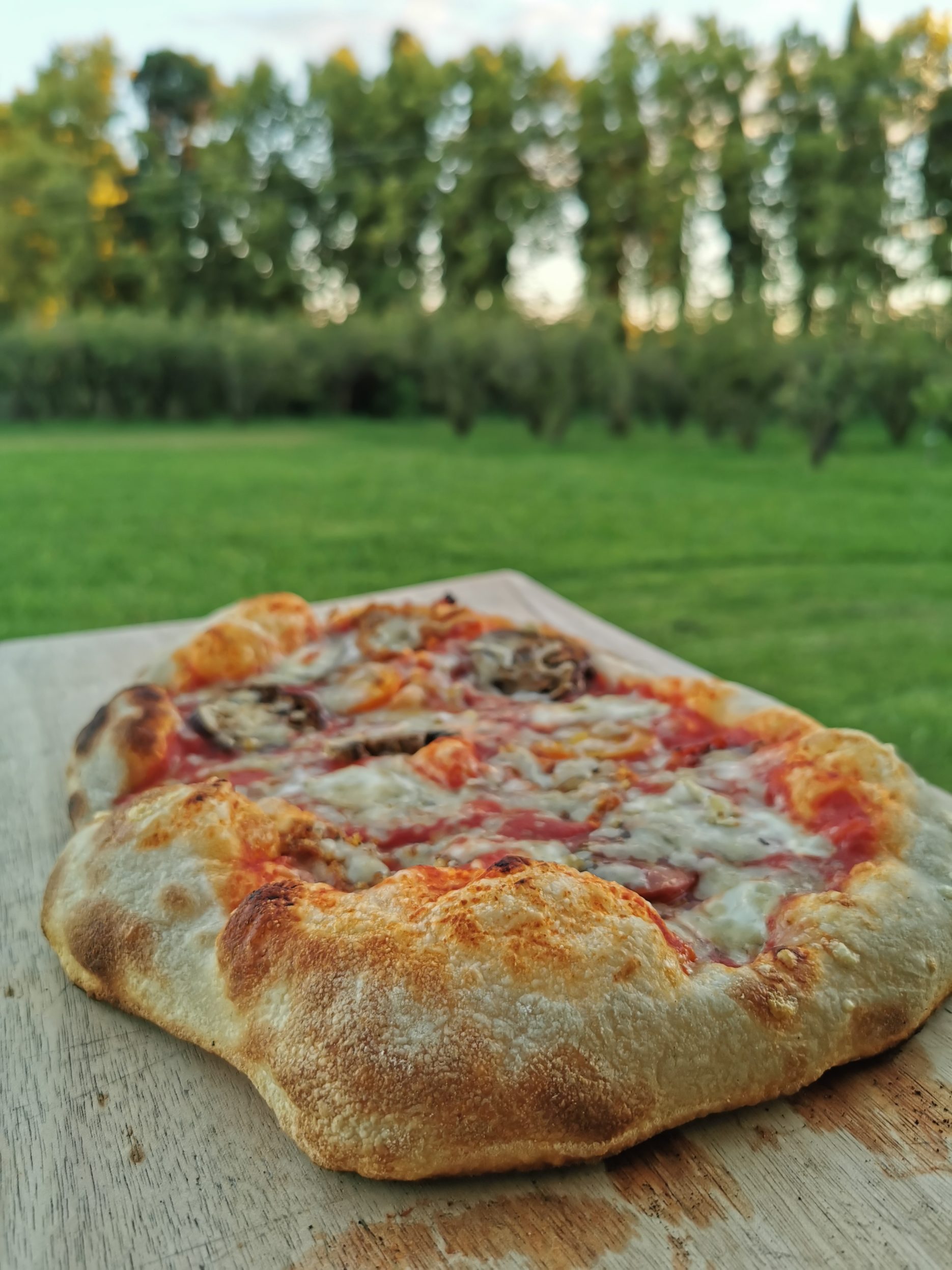 Recette de pâte à pizza maison en fermentation lente - Mon Fournil