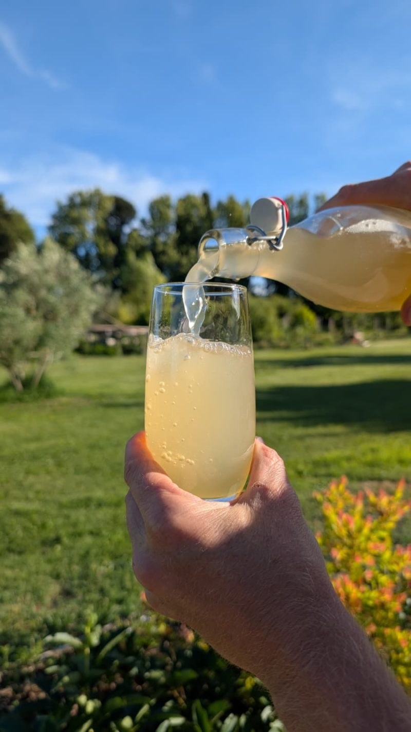 ginger beer