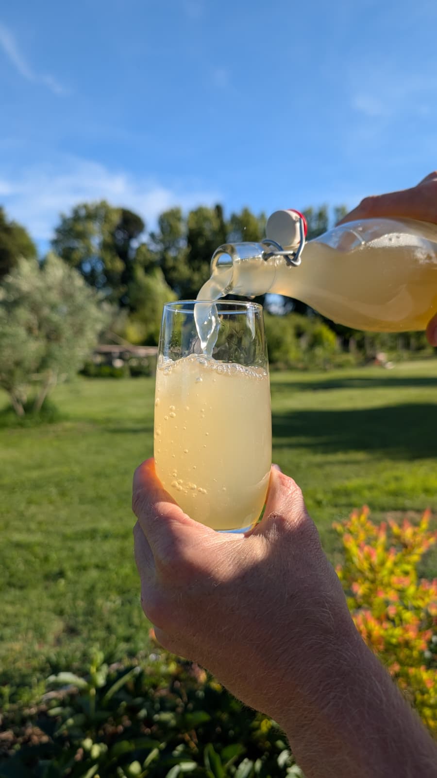 ginger beer